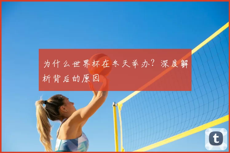 为什么世界杯在冬天举办？深度解析背后的原因