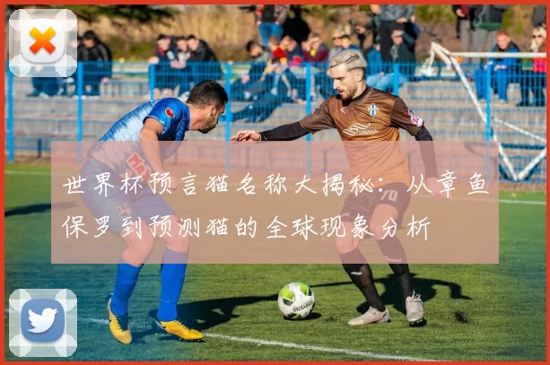世界杯预言猫名称大揭秘：从章鱼保罗到预测猫的全球现象分析