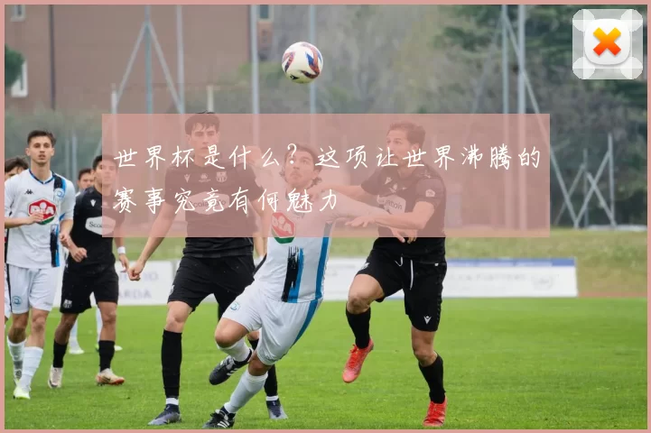 世界杯是什么？这项让世界沸腾的赛事究竟有何魅力