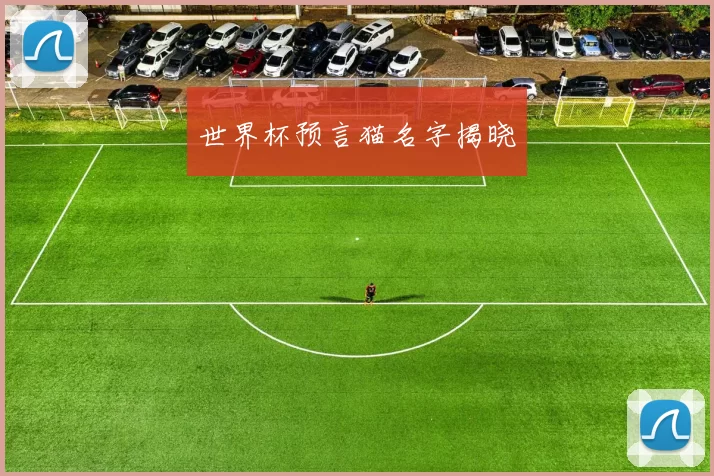 世界杯预言猫名字揭晓