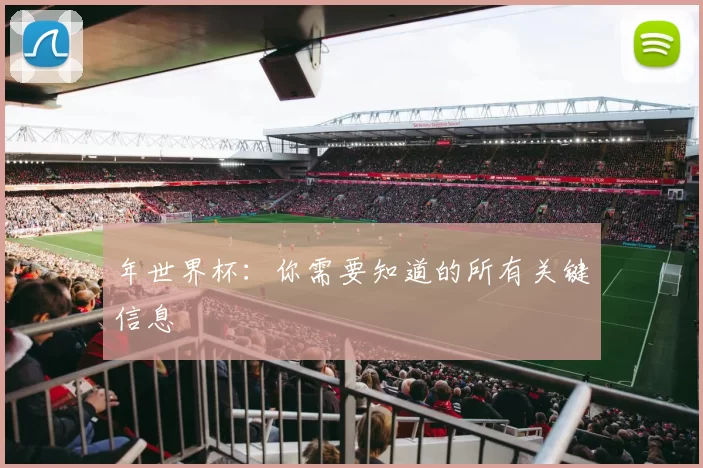 年世界杯:你需要知道的所有关键信息