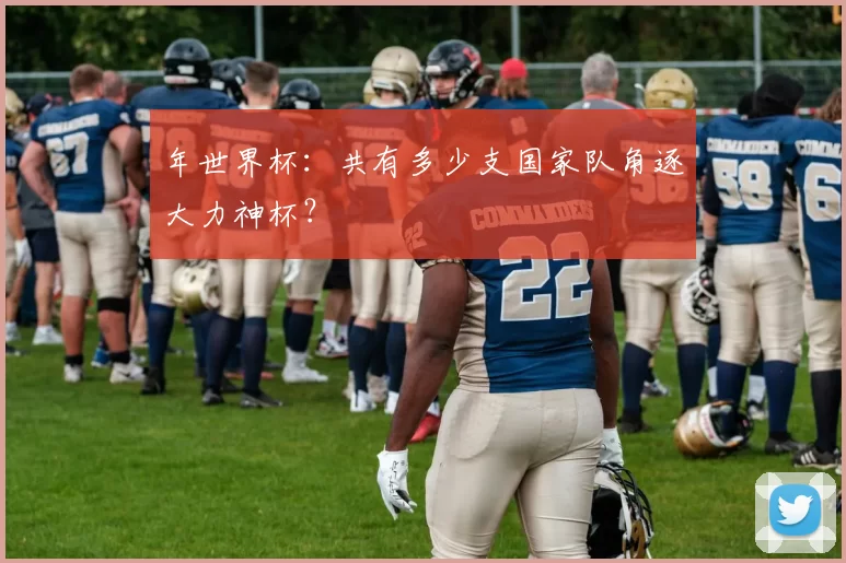 年世界杯：共有多少支国家队角逐大力神杯？