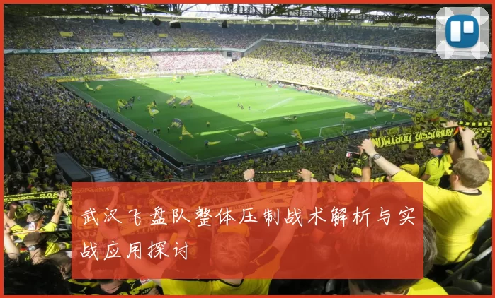 武汉飞盘队整体压制战术解析与实战应用探讨