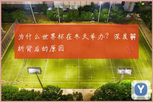 为什么世界杯在冬天举办?深度解析背后的原因