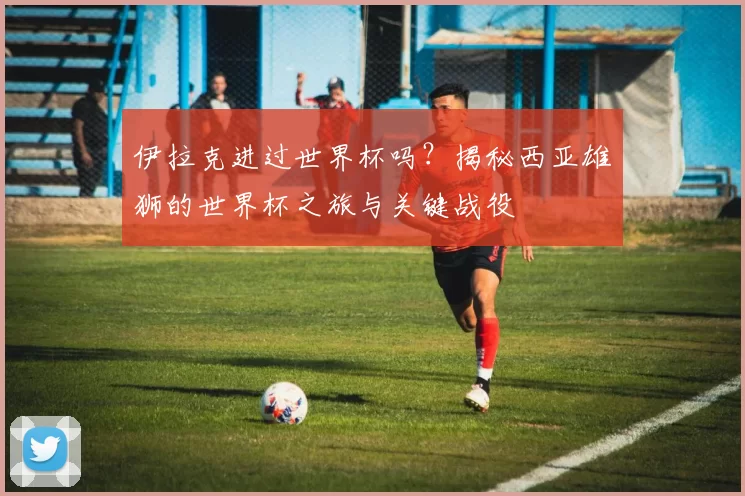 伊拉克进过世界杯吗？揭秘西亚雄狮的世界杯之旅与关键战役